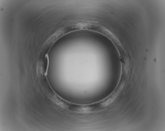 X0000080710313200612151140