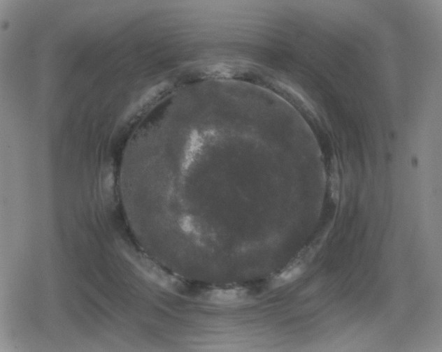 X0000080710314200612151140