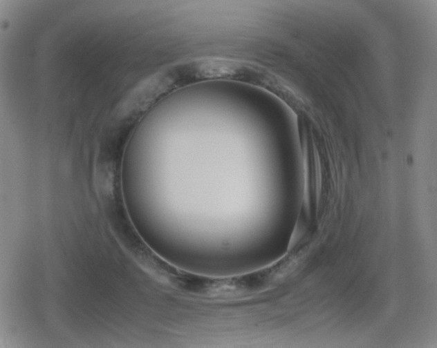 X0000080710315200612151140