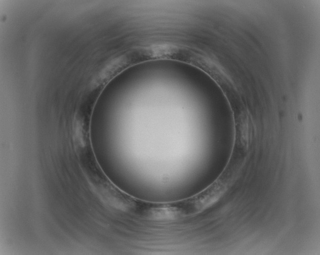 X0000080710316200612151140