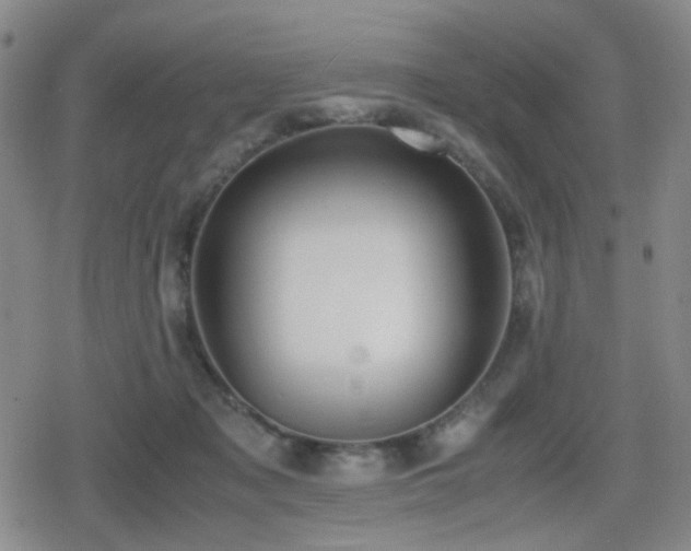 X0000080710317200612151140