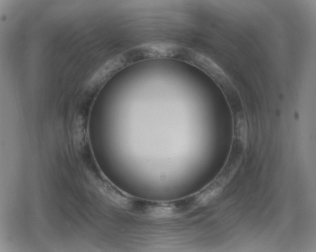 X0000080710318200612151140