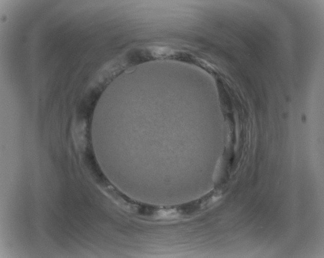 X0000080710319200612151140