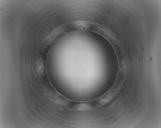 X0000080710320200612151140