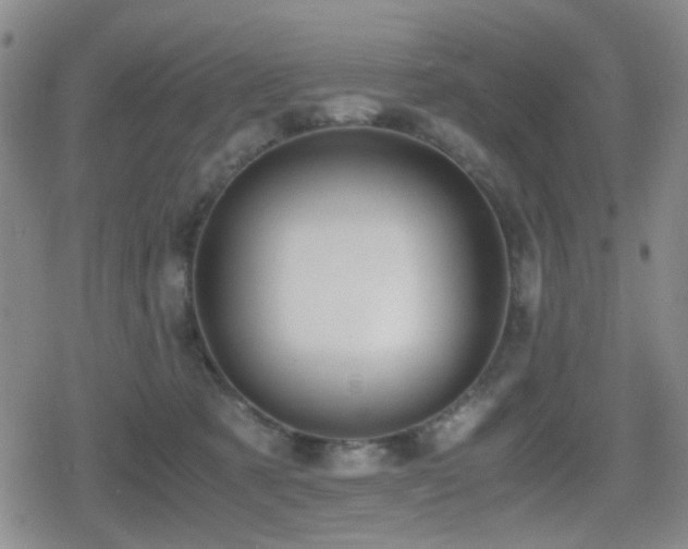 X0000080710321200612151140