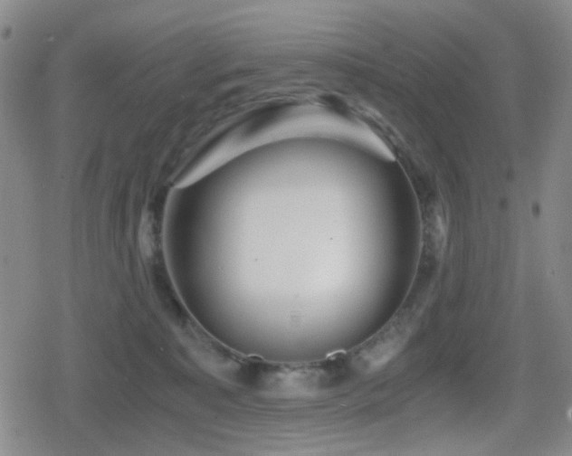 X0000080710323200612151140