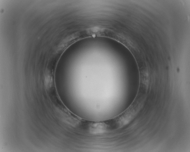 X0000080710324200612151140