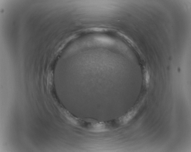 X0000080710325200612151140