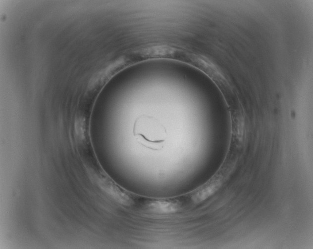 X0000080710326200612151140