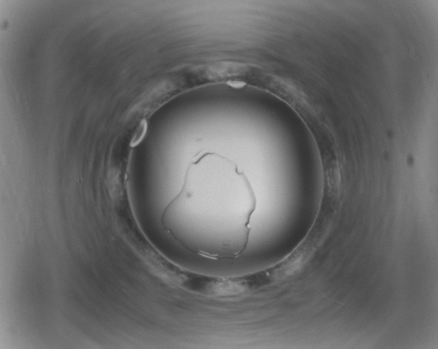 X0000080710327200612151140