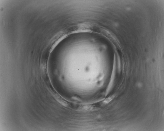 X0000080710329200612151140