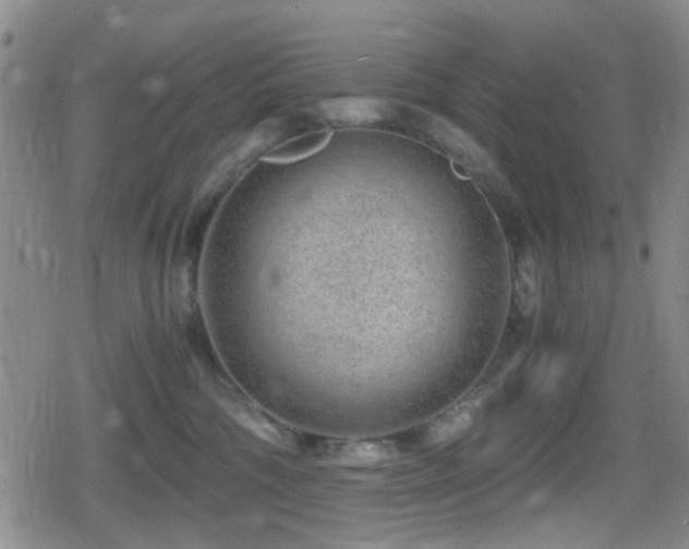 X0000080710330200612151140