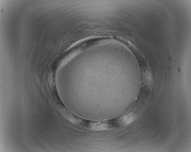 X0000080710331200612151140