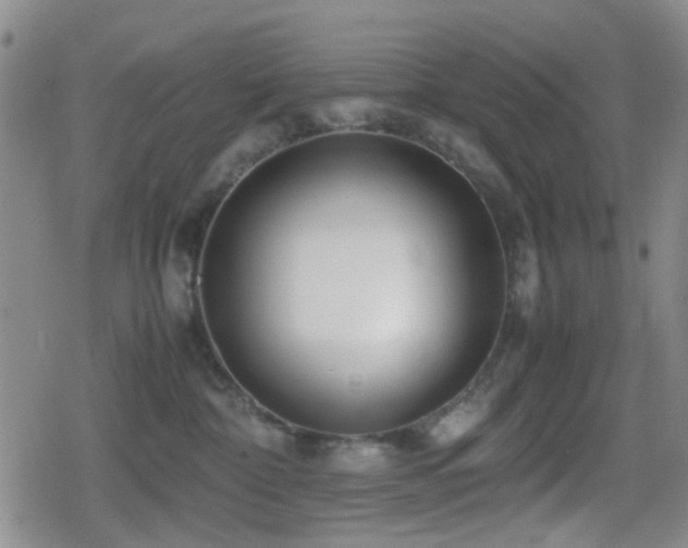 X0000080710332200612151140