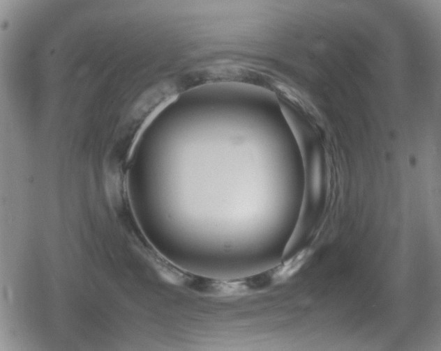 X0000080710333200612151140