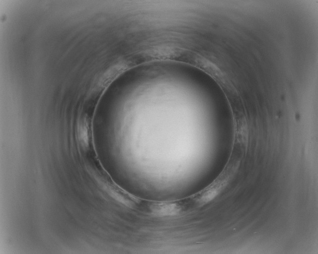 X0000080710334200612151140