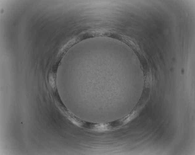 X0000080710335200612151140