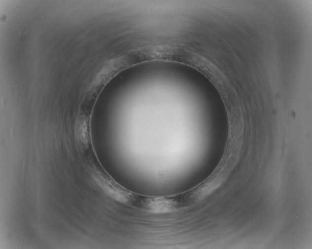 X0000080710336200612151140