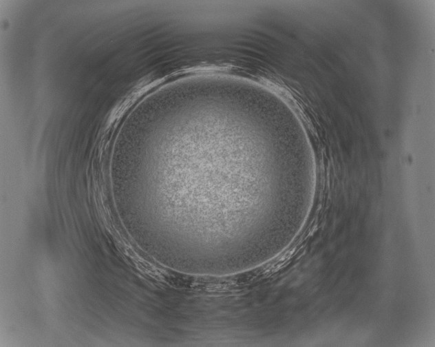 X0000080710337200612151139