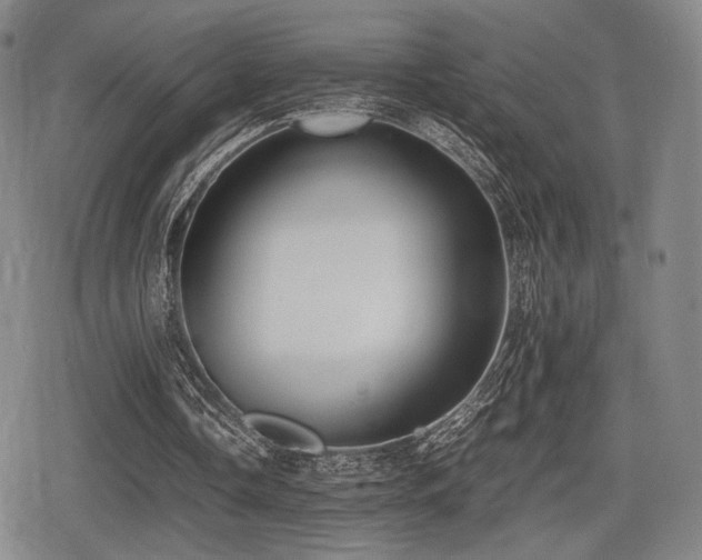 X0000080710338200612151139