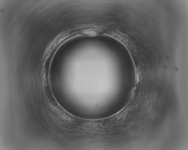 X0000080710339200612151139