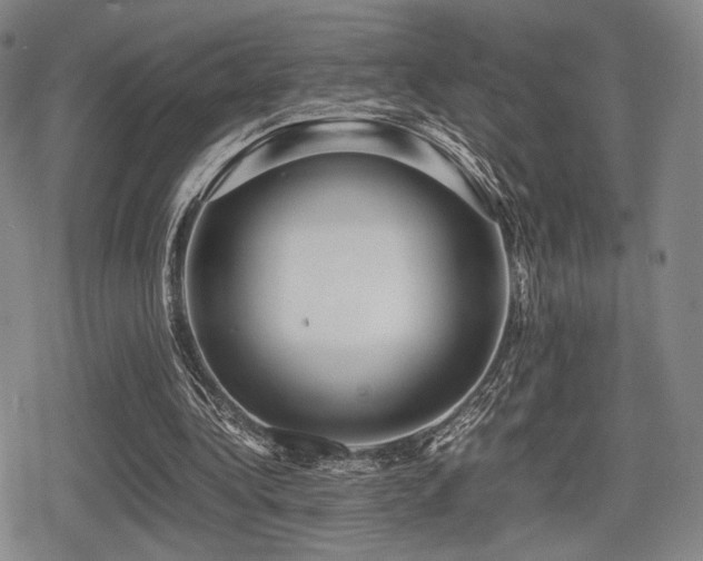 X0000080710340200612151139