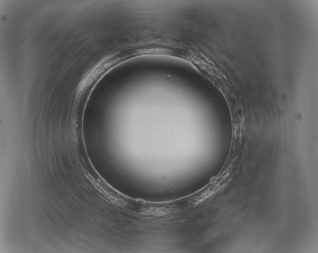 X0000080710341200612151139