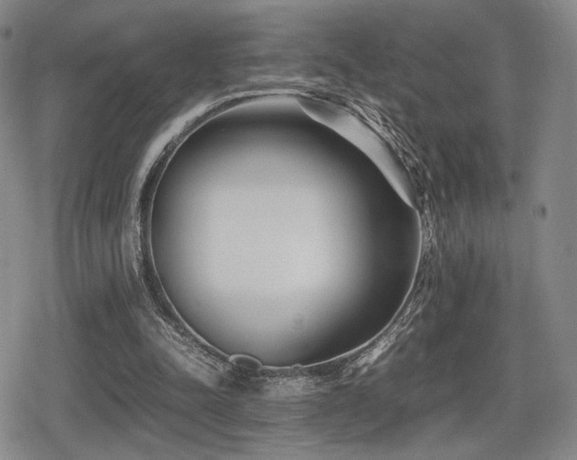 X0000080710342200612151139