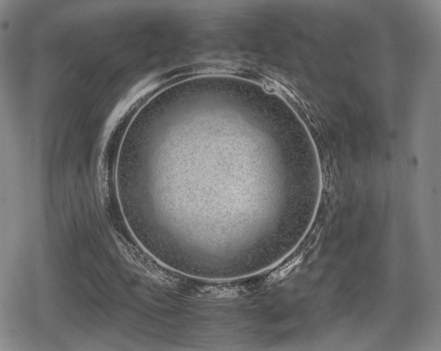 X0000080710343200612151139