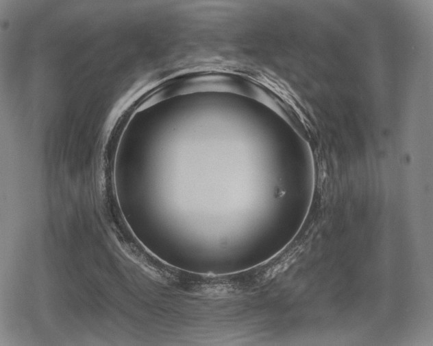 X0000080710344200612151139