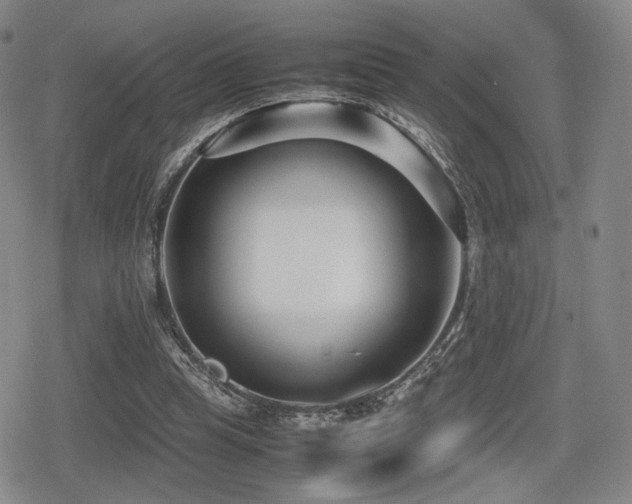 X0000080710345200612151139