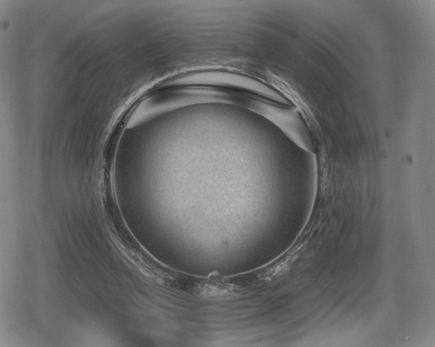 X0000080710346200612151139