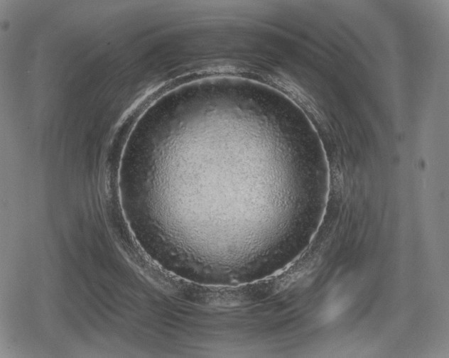 X0000080710347200612151139