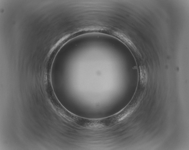 X0000080710348200612151139