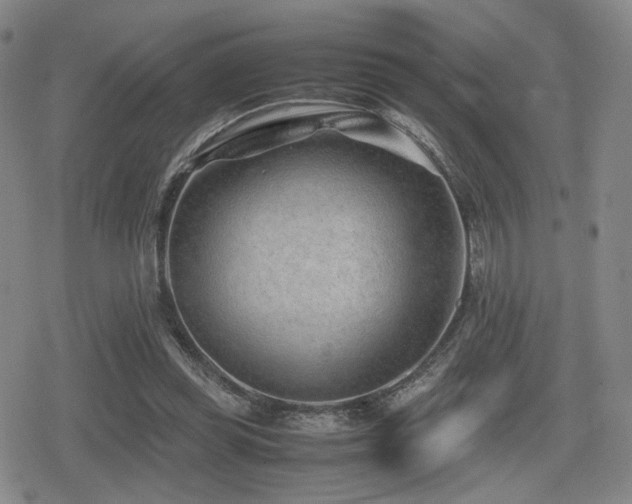 X0000080710349200612151139