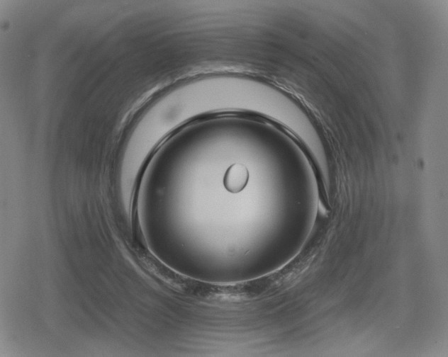 X0000080710352200612151139