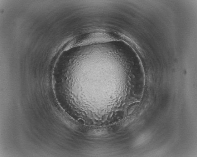 X0000080710353200612151139