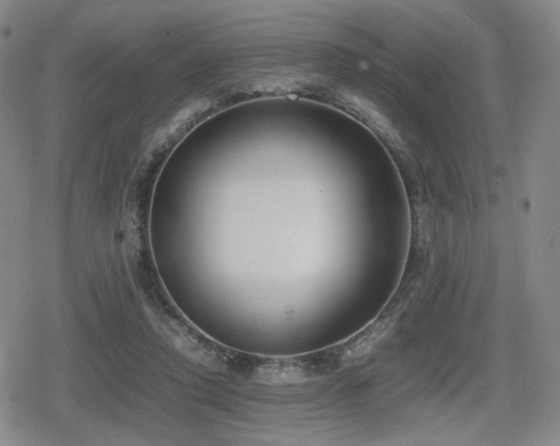 X0000080710354200612151139