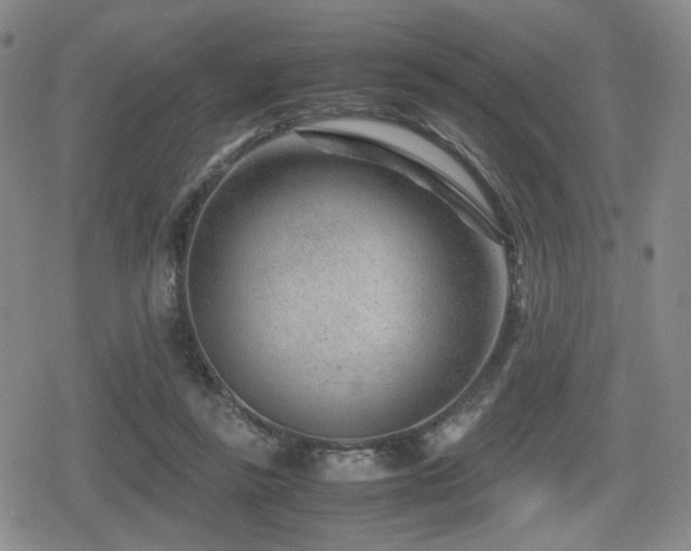 X0000080710355200612151139