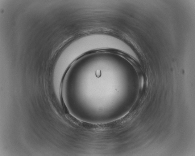 X0000080710356200612151139