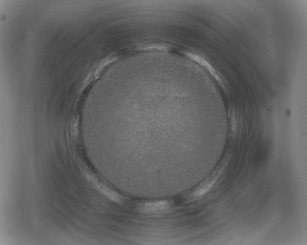 X0000080710357200612151139