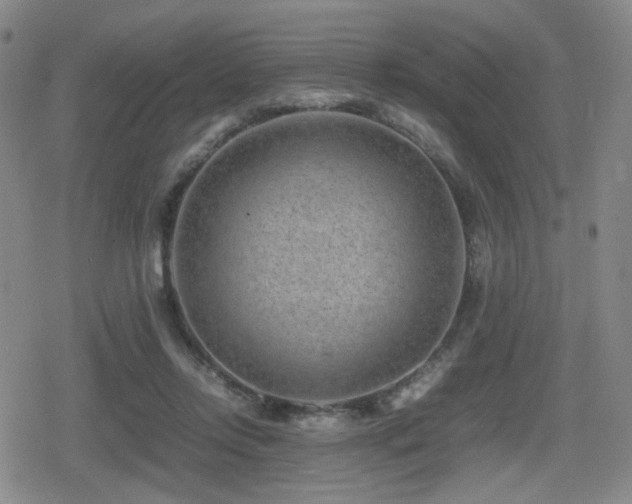 X0000080710358200612151139