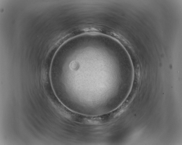 X0000080710359200612151139