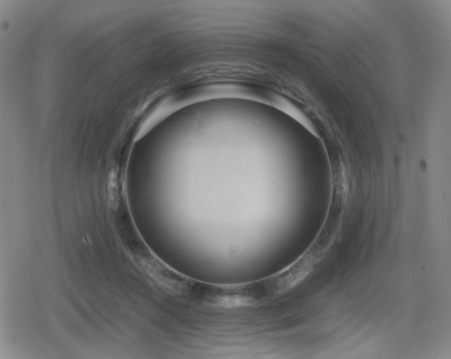 X0000080710360200612151139