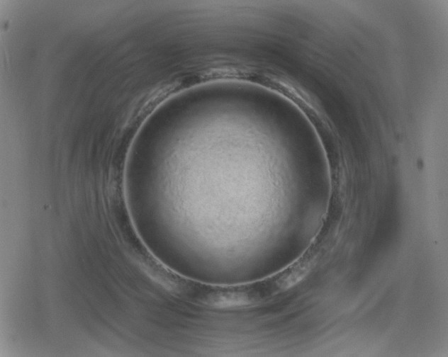 X0000080710361200612151139