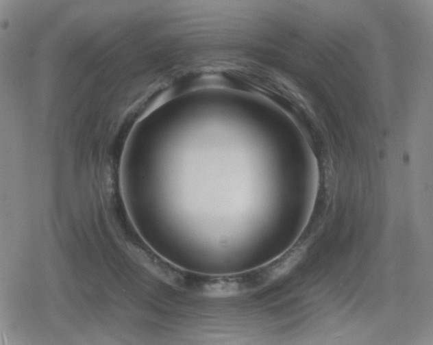 X0000080710362200612151140