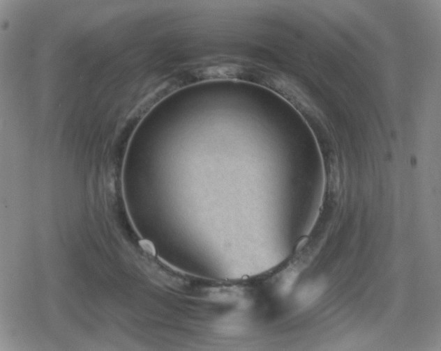 X0000080710363200612151140