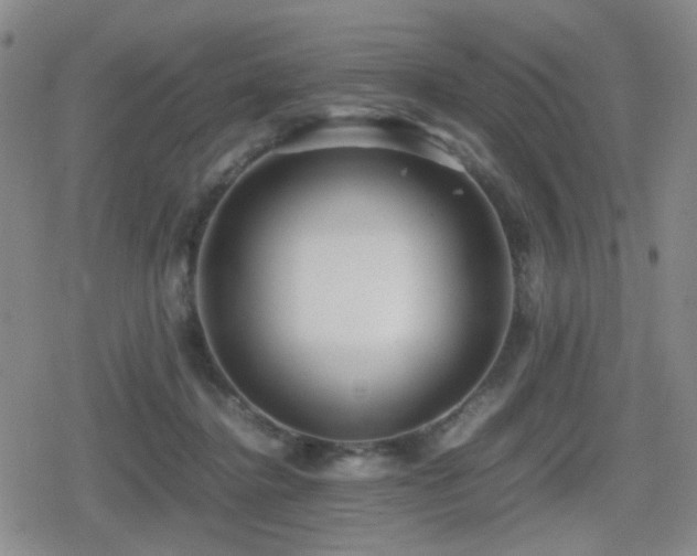 X0000080710364200612151140