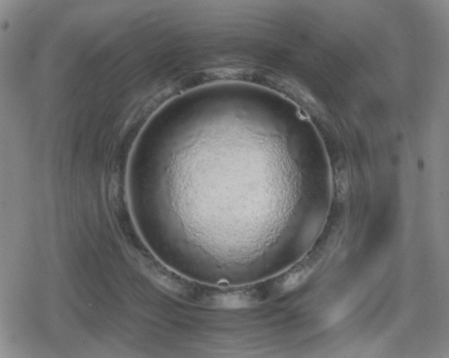 X0000080710365200612151140