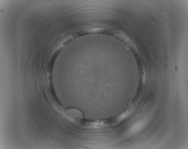 X0000080710366200612151140